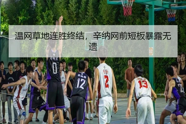 wen-wang-cao-di-lian-sheng-zhong-jie-xin-na-wang-qian-duan-ban-bao-lu-wu-yi-2-423.jpg