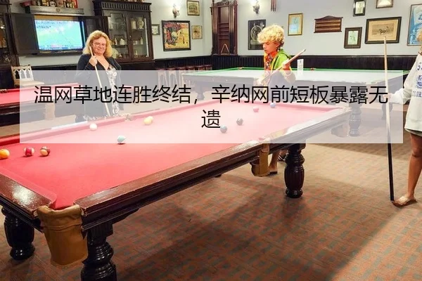 温网草地连胜终结，辛纳网前短板暴露无遗