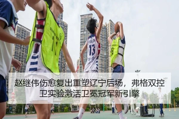 赵继伟伤愈复出重塑辽宁后场，弗格双控卫实验激活卫冕冠军新引擎