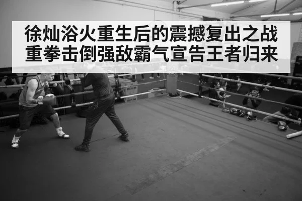 boxer training gym